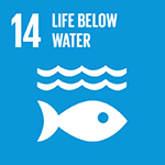 UN sustainable development goal 14